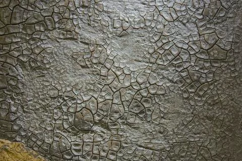 Modern pattern on wood texture background, wood texture for interior craquelu Stock Photos