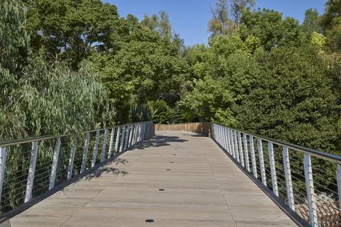 Modern pedestrian bridge surrounded by trees in Valencia Spain Stock Photos