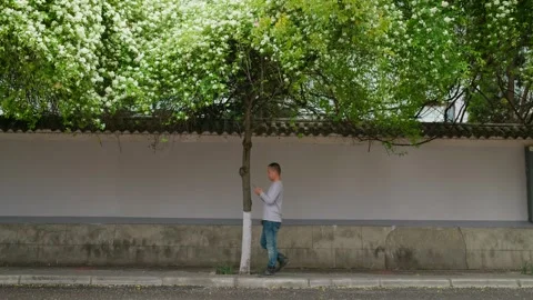 Modern people walking while using phones, a bad habit. 스톡 동영상 331761291