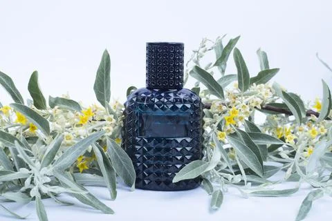 Modern perfume bottle on white Stock Photos