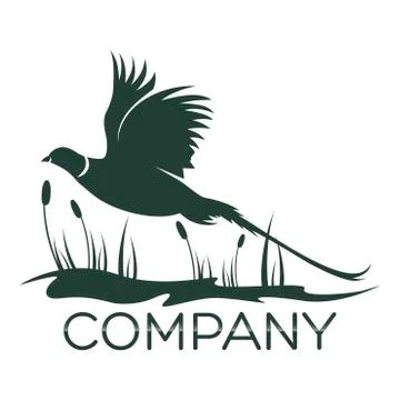Modern Pheasant logo Stock Illustration