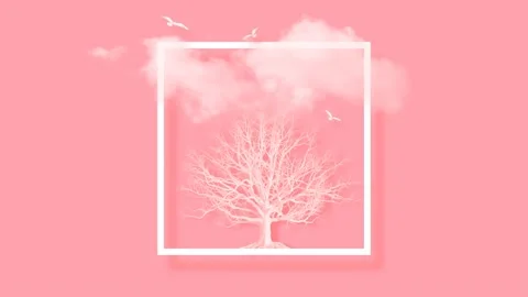 Modern Pink Template With White Frame Oak Tree, Cloud And Flying Birds Vidéo 164387202