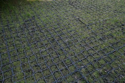 Modern plastic grass paver grid of ecological parking or driveway. Stock Photos