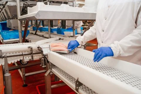 Modern poultry processing plant.Factory for the production of food from meat Stock Photos