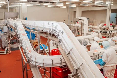 Modern poultry processing plant.Factory for the production of food from meat Foto stock