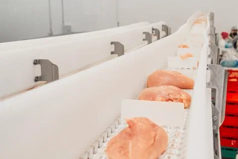 Modern poultry processing plant.Factory for the production of food from meat Stock Photos