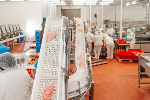 Modern poultry processing plant.Factory for the production of food from meat Stock Photos