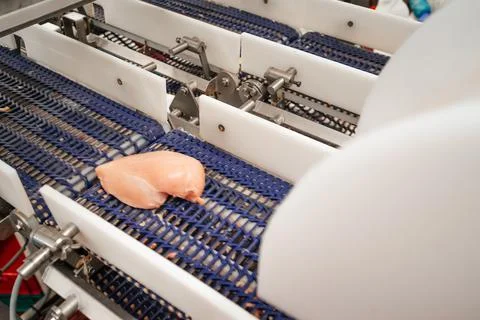 Modern poultry processing plant.Factory for the production of food from meat Stock Photos