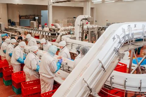 Modern poultry processing plant.Factory for the production of food from meat Stock Photos