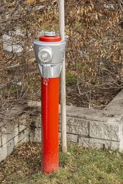 Modern red and silver fire hydrant in a residential garden Photos