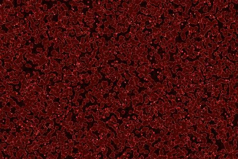 Modern red biological random noises cg texture illustration イラスト素材