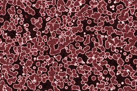 Modern red biological random noises computer art background texture Illustrazione stock