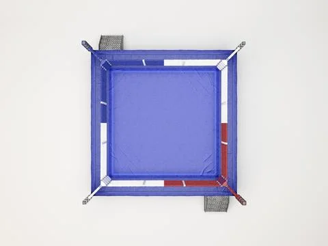 Modern Regulation Boxing Ring Stock Illustration
