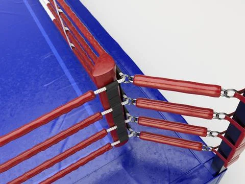 Modern Regulation Boxing Ring Stock Illustration