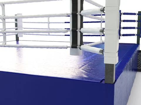 Modern Regulation Boxing Ring Stock Illustration