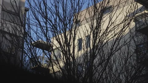 Modern Residential Buildings Behind Bare Tree Branches in Pilestredet Park Oslo Stock Footage 340828877