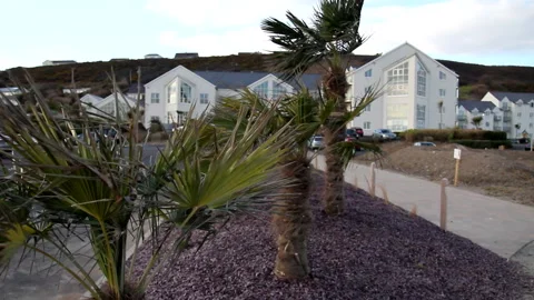 A modern residential complex with palm trees and a scenic path, capturing the Stock Footage 302538012