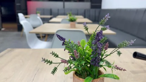 Modern Restaurant Interior with Decorative Flowers and Empty Dining Tables Stock Footage 342587204
