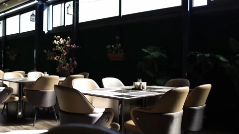 Modern restaurant interior with sunlight Stock Footage 331770786