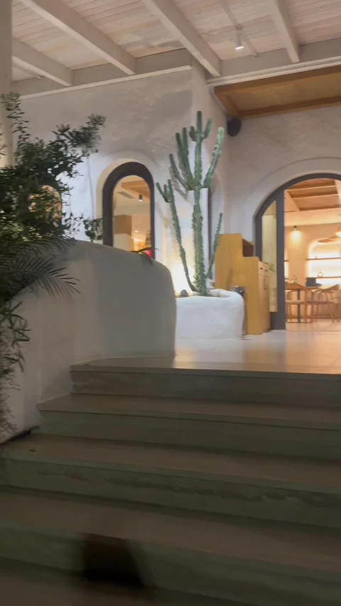 Modern Restaurant Patio with Cactus and White Architecture in Golem Albania Видео 343392257