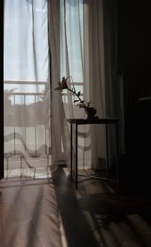 Modern room interior with open window in minimal style. Transparent tulle with Stock Photos