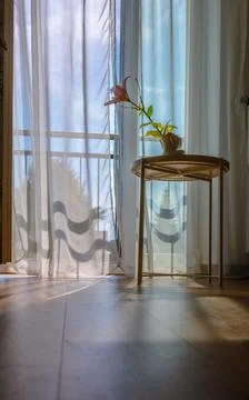 Modern room interior with open window in minimal style. Transparent tulle with Stock Photos