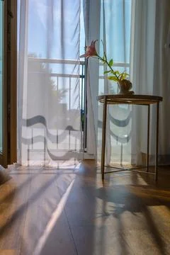 Modern room interior with open window in minimal style. Transparent tulle with Stock Photos