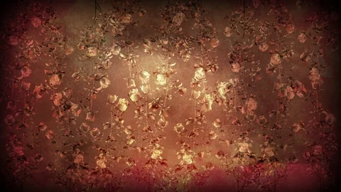 Modern Rose Stock-Footage 125665926