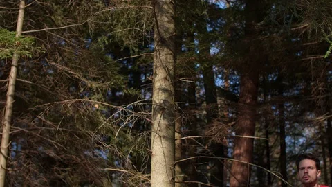 Modern runner in the forest Stock Footage 102829792