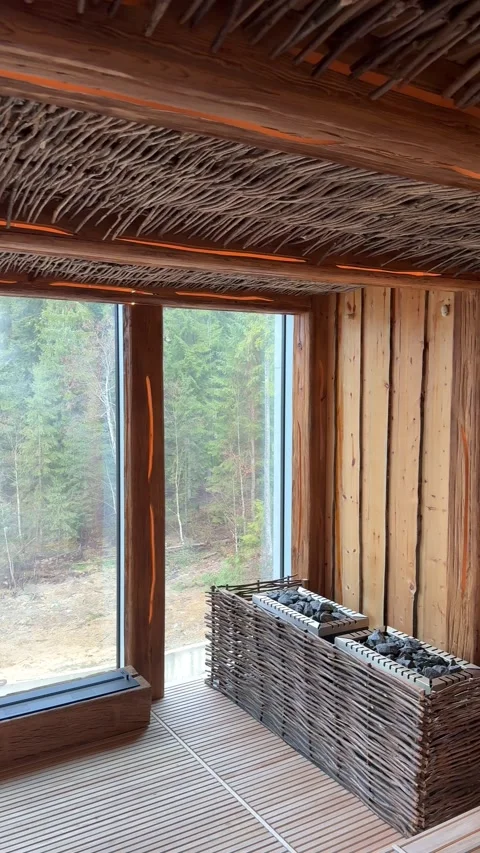 Modern sauna room with forest view enhancing relaxation Stock Footage 307227952