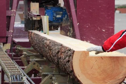 Modern sawmill Stock Photos