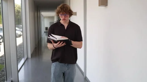 Modern schoolboy studies while walking Stock Footage 338277019
