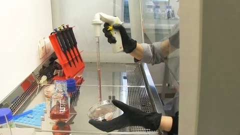 Modern science laboratory Stock Footage 124847738