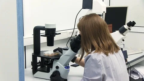 Modern science laboratory Видео 126704384