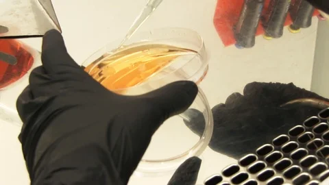 Modern science laboratory 스톡 동영상 127900076