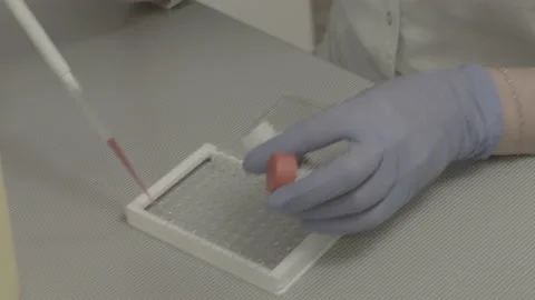 Modern scientific equipment. the manipulator of the automatic analyzer Video stock 143160777