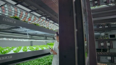 Modern scientists are engaged in the development of healthy food production by Stock Footage 113295764