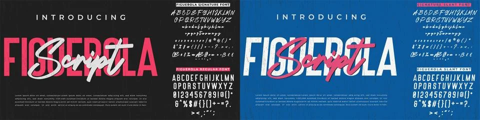 Modern Script Brush and Condensed Sans Serif Font Duo Stock Illustration