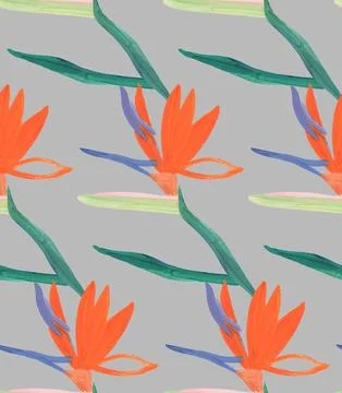 Modern seamless Pattern with royal Strelitzia on a grey background Illustrazione stock