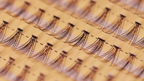 Modern set of false eyelashes for gluing. Women's cosmetics, close-up, macro Stockbeeldmateriaal 254660721