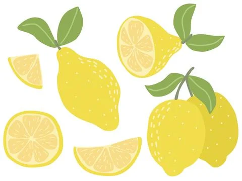 Modern set of lemons isolated on white background イラスト素材