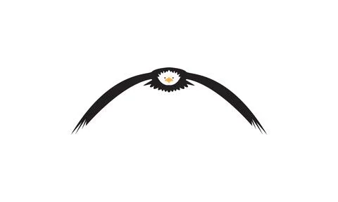 Modern shape abstract fly eagle logo vector icon illustration design Stock Illustration