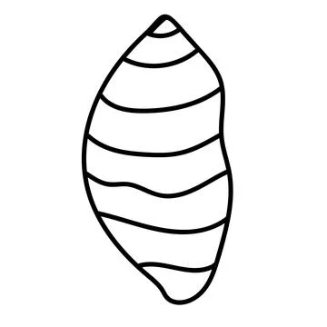 Modern shell line drawing, perfect for tattoo design or logo. Stock Illustration