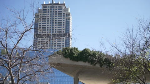 Modern Skyscraper and Leafy Platform in Sandton Under Clear Blue Sky Vidéo 336287128