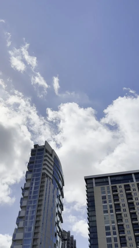 Modern Skyscraper and Palm Tree Looking Up Видео 344991233