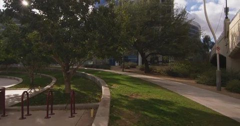 Modern skyscraper near park Stock Footage 101217520