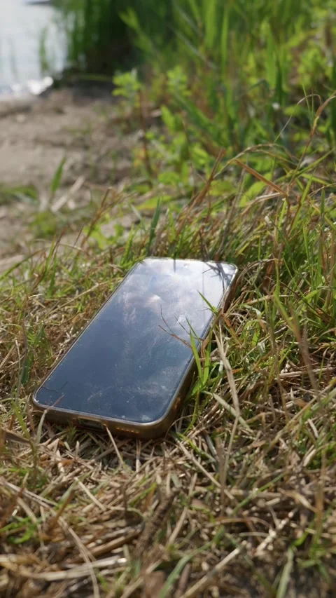 Modern Smartphone Device Lying Abandoned in Sunlit Grass Field Stock Footage 342769517