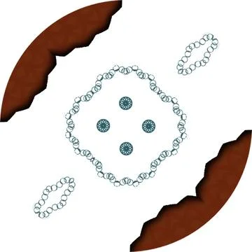Modern Soft Shape Clean Abstract Rounded Shapes for Branding and Web Design Stock Illustration