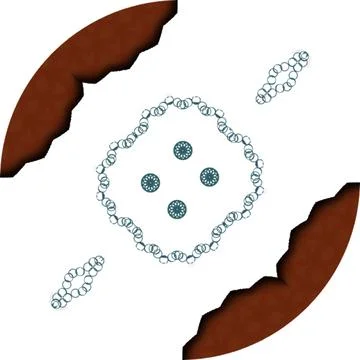 Modern Soft Shape Clean Abstract Rounded Shapes for Branding and Web Design Stock Illustration