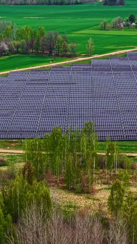 Modern solar panel array in a field with a forest backdrop under a cloudy sky. Stock Footage 336507644